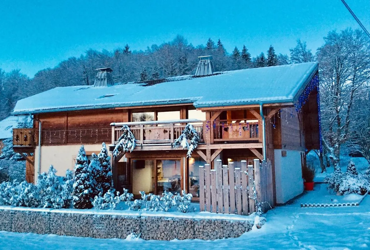 Apartment Le Chalet Du Pic Spa Prive & Fitness Taninges